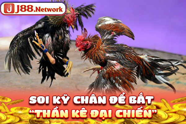 Soi kỹ chân để bắt “thần kê đại chiến”